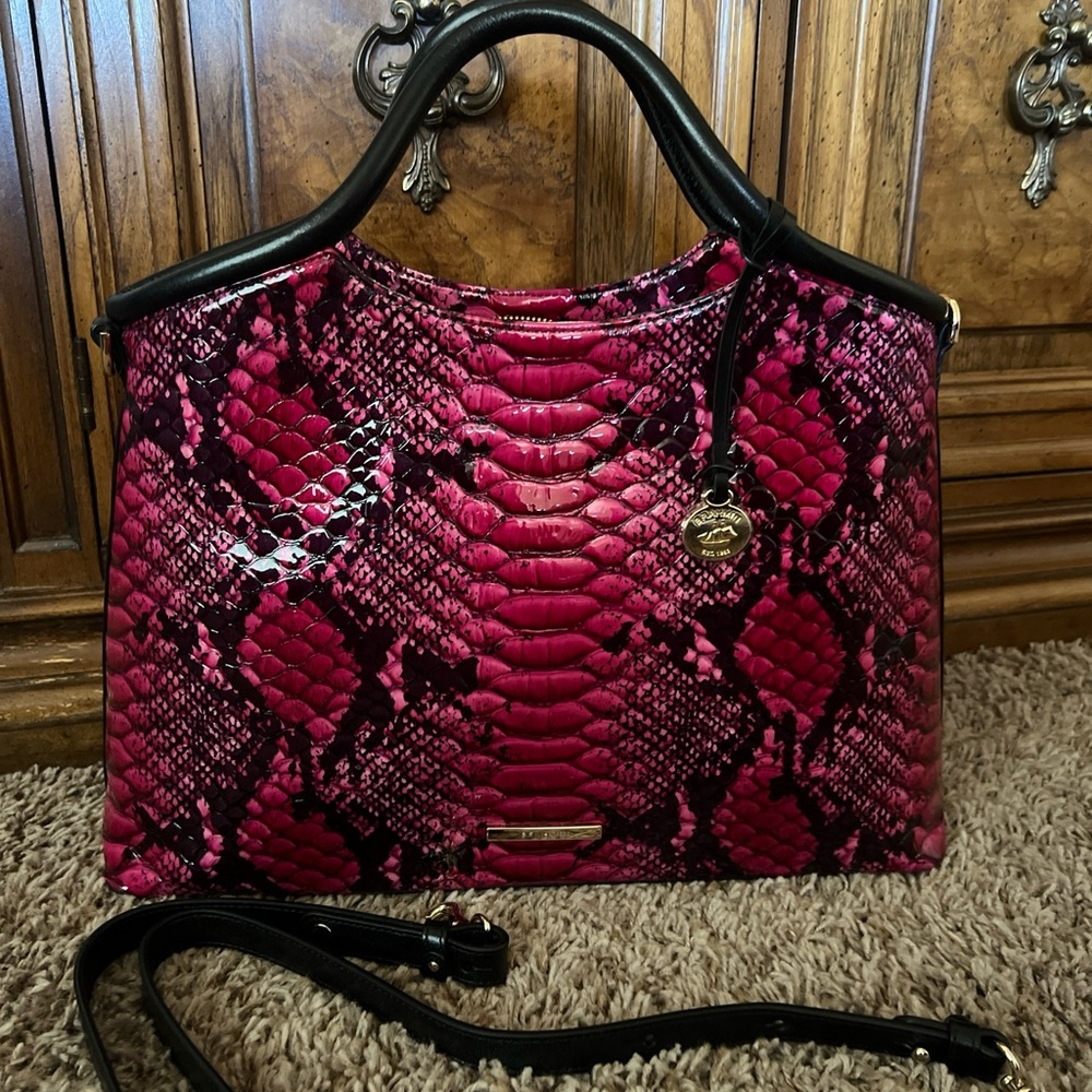 Brahmin Elaine Potion Ziggy